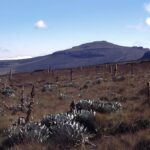 Mount Kenya skyline viewed from a distance