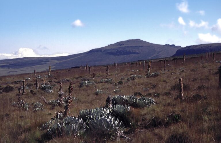 Mount Kenya skyline viewed from a distance