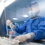Oxford University scientists developing Ebola vaccine