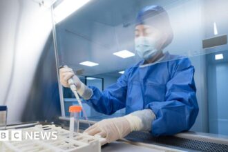 Oxford University scientists developing Ebola vaccine