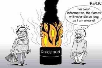Protests in South Africa targeting foreign nationals